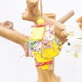 Load image into Gallery viewer, Sunlit Burrows - Bunny Bloom Collection
