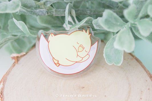 Sleeping Cockatiel - Acrylic Pin