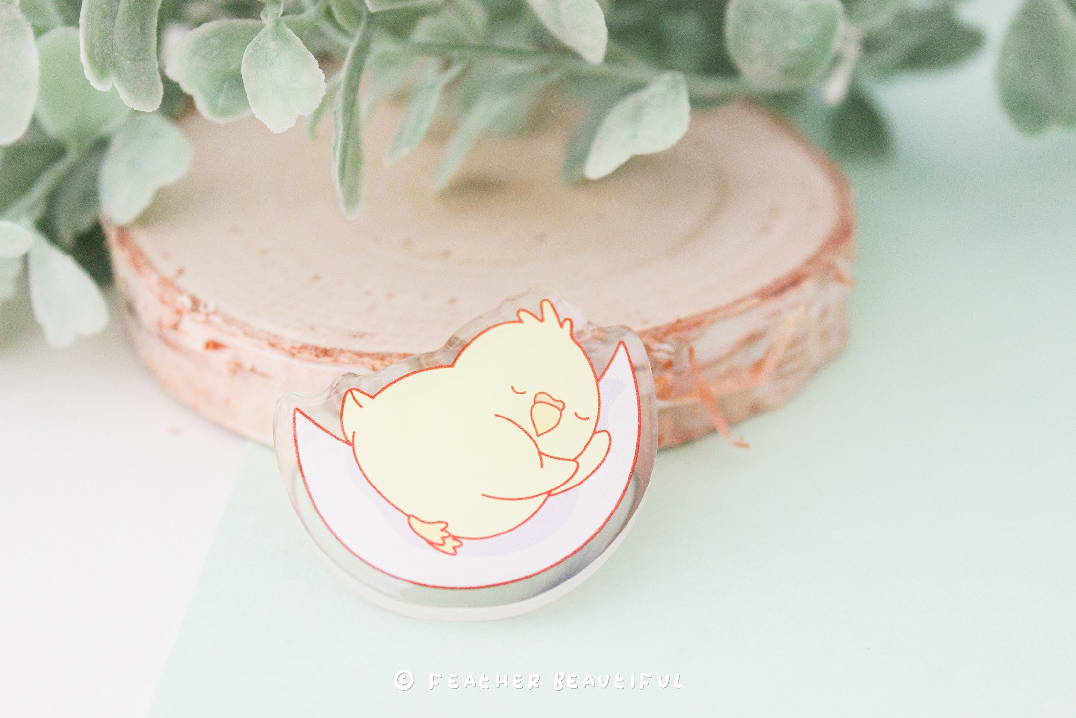 Sleeping Cockatiel - Acrylic Pin