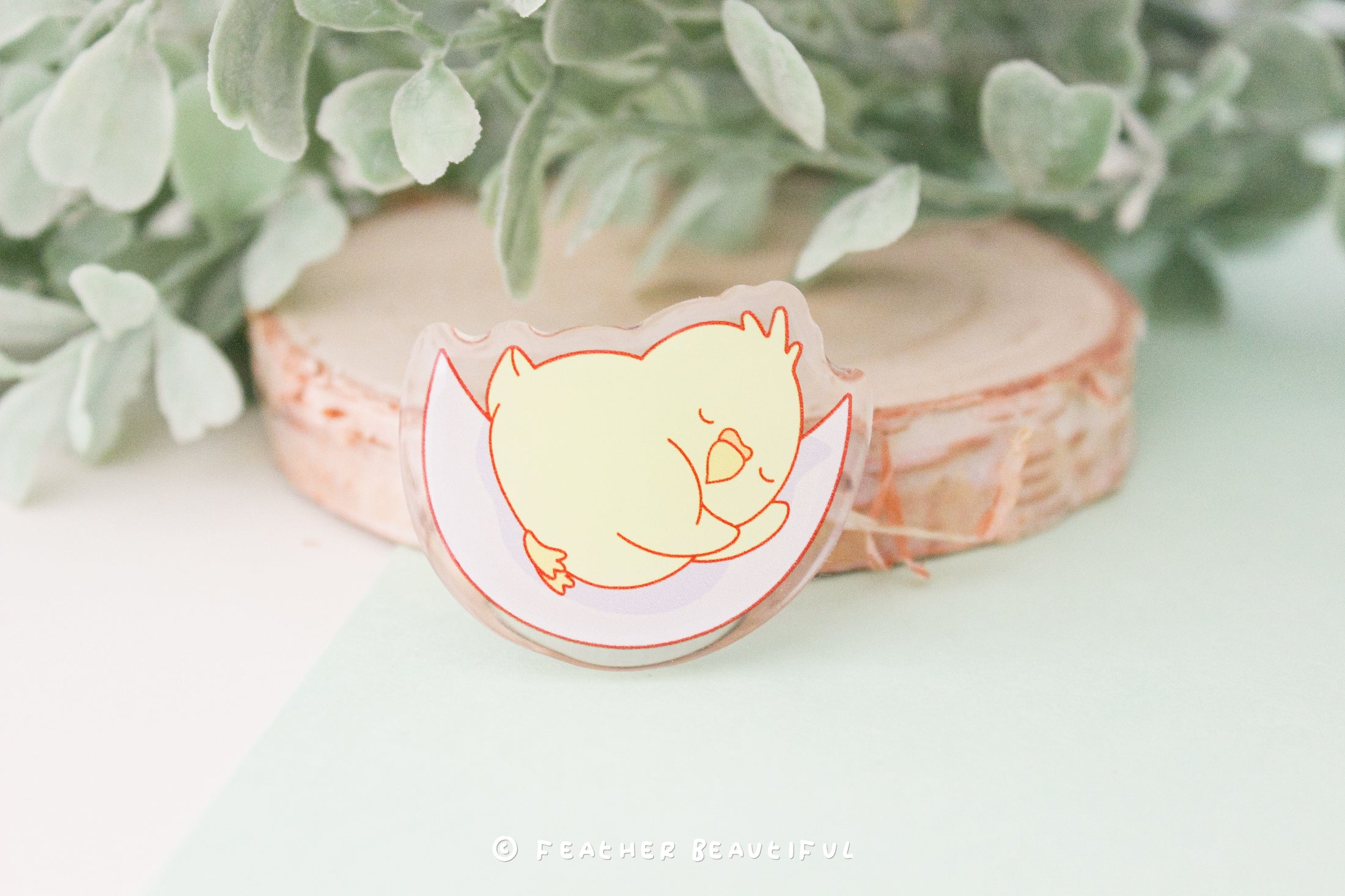 Sleeping Cockatiel - Acrylic Pin
